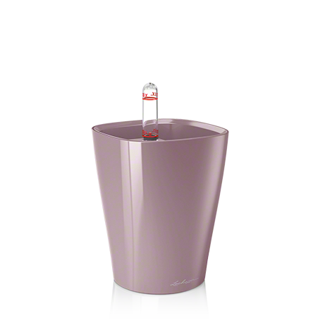 Pastel Violet